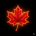 Maple Receipts